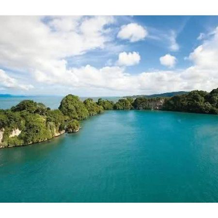 Room In Guest Room - Best Bed And Breakfast In Samana Breakfast Included Exterior photo