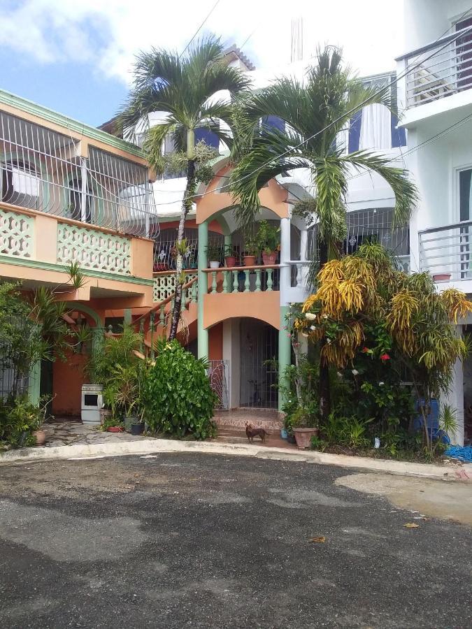 Room In Guest Room - Best Bed And Breakfast In Samana Breakfast Included Exterior photo